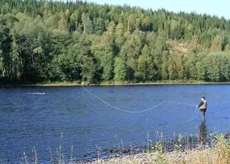 Sportfiske i Värmlands naturparadis
