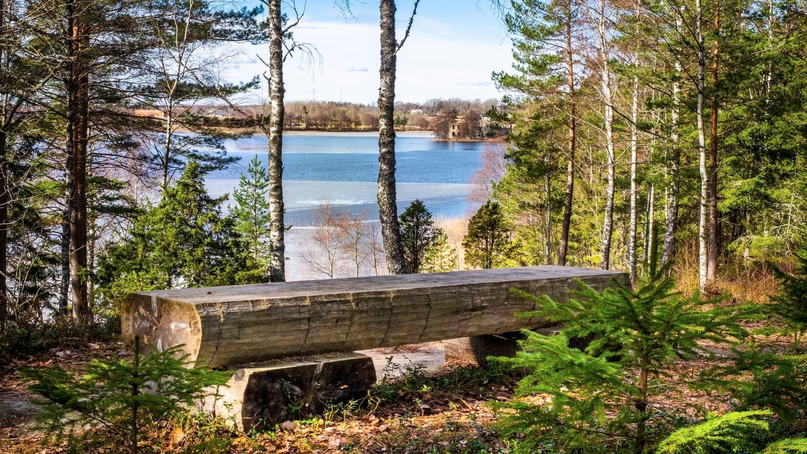 Sävsjö Camping: Mellan sjö och skog – en småländsk oas