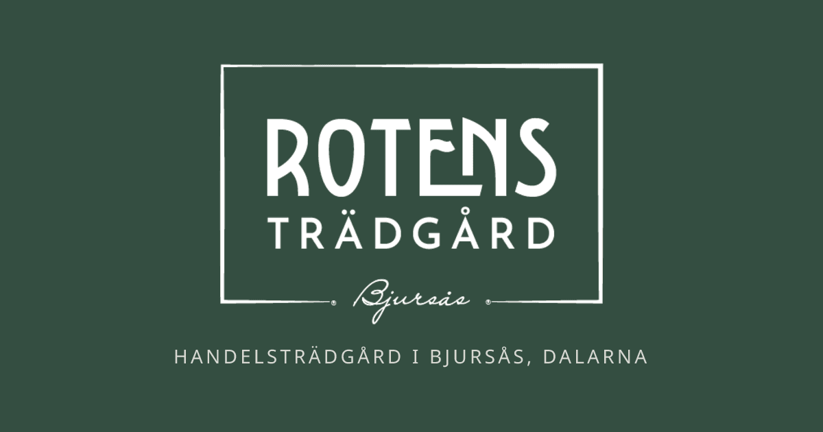 Konstfotografi i Växthus: Catherine Lundmarks naturkärlek