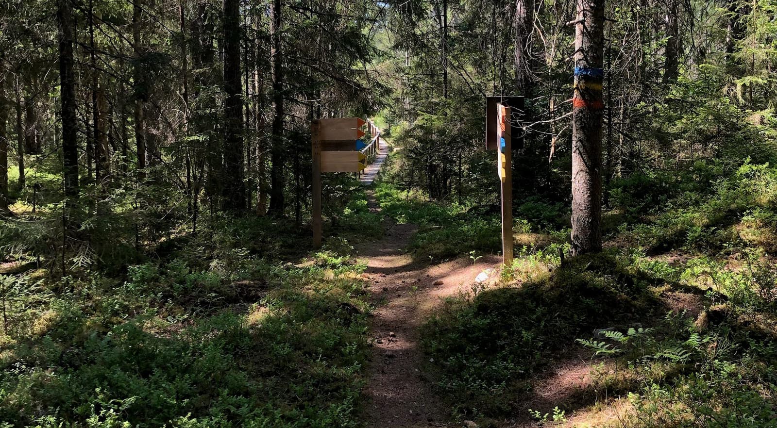 Tingsjötorpsleden: En Själfull Upplevelse i Västgötsk Natur