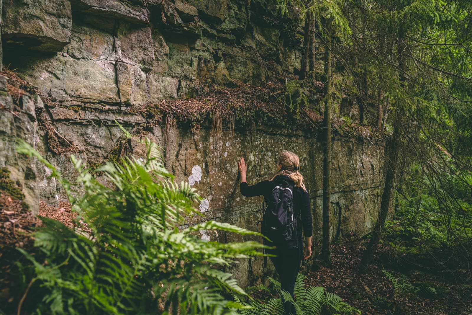 Platåbergens Geopark – Jordens Årtusenden Av Berättelser