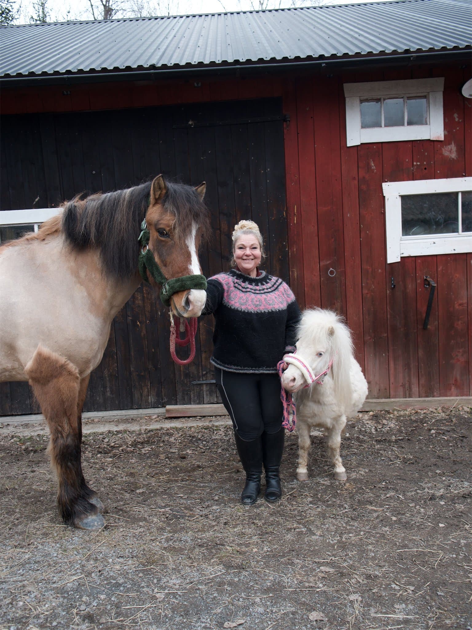 Stuteri Rainbow Hill: En oas för hästvänner i natursköna Uppland