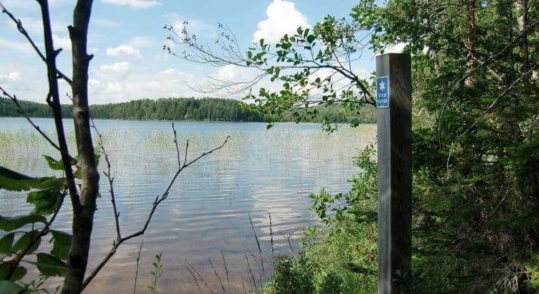 Långbro Naturreservat: En Geologisk Tidsresa