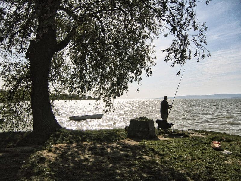 Gunnern – En förtrollande oas i Värmlands vilda hjärta