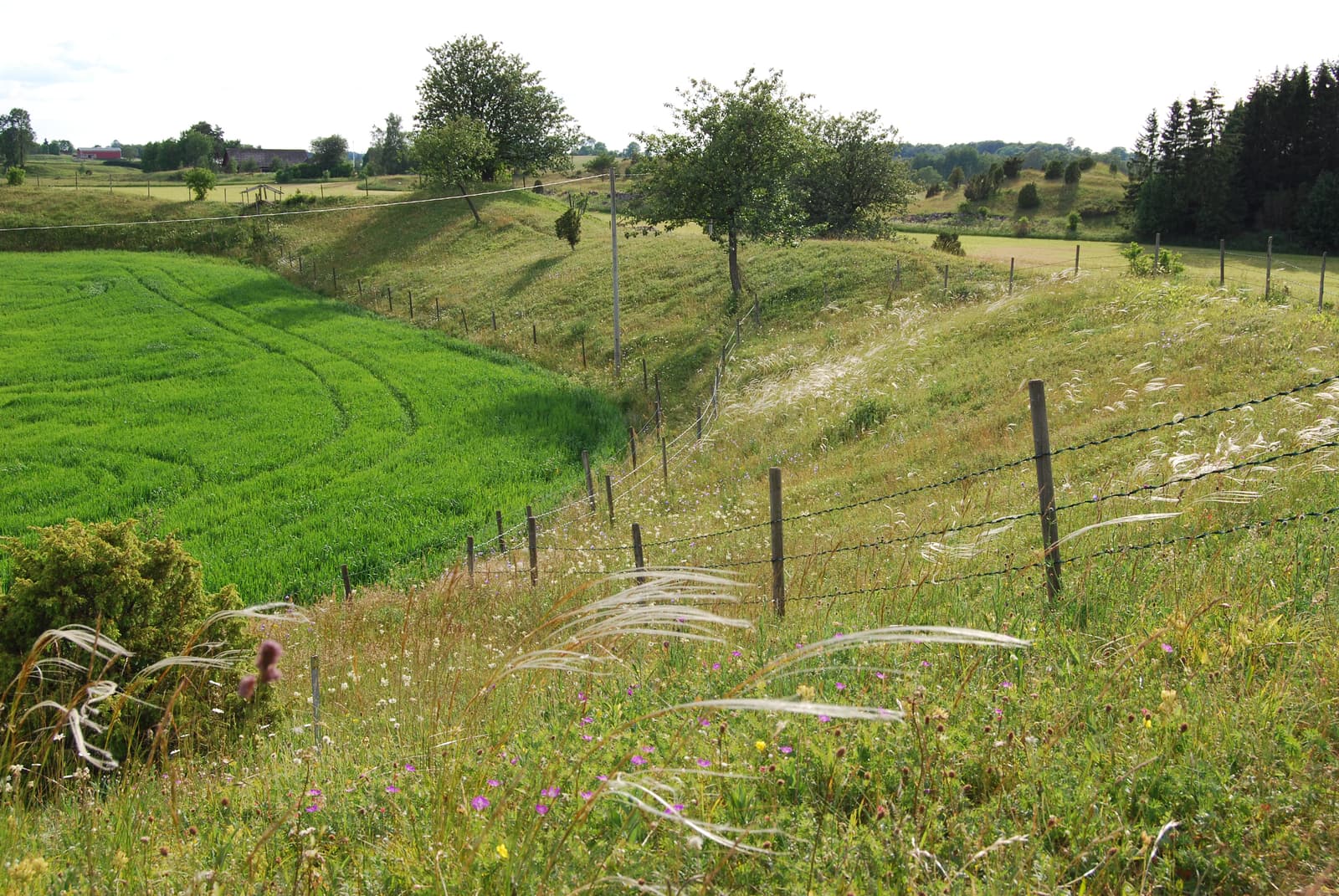 Naturreservaten kring Falköping: Geologiska underverk