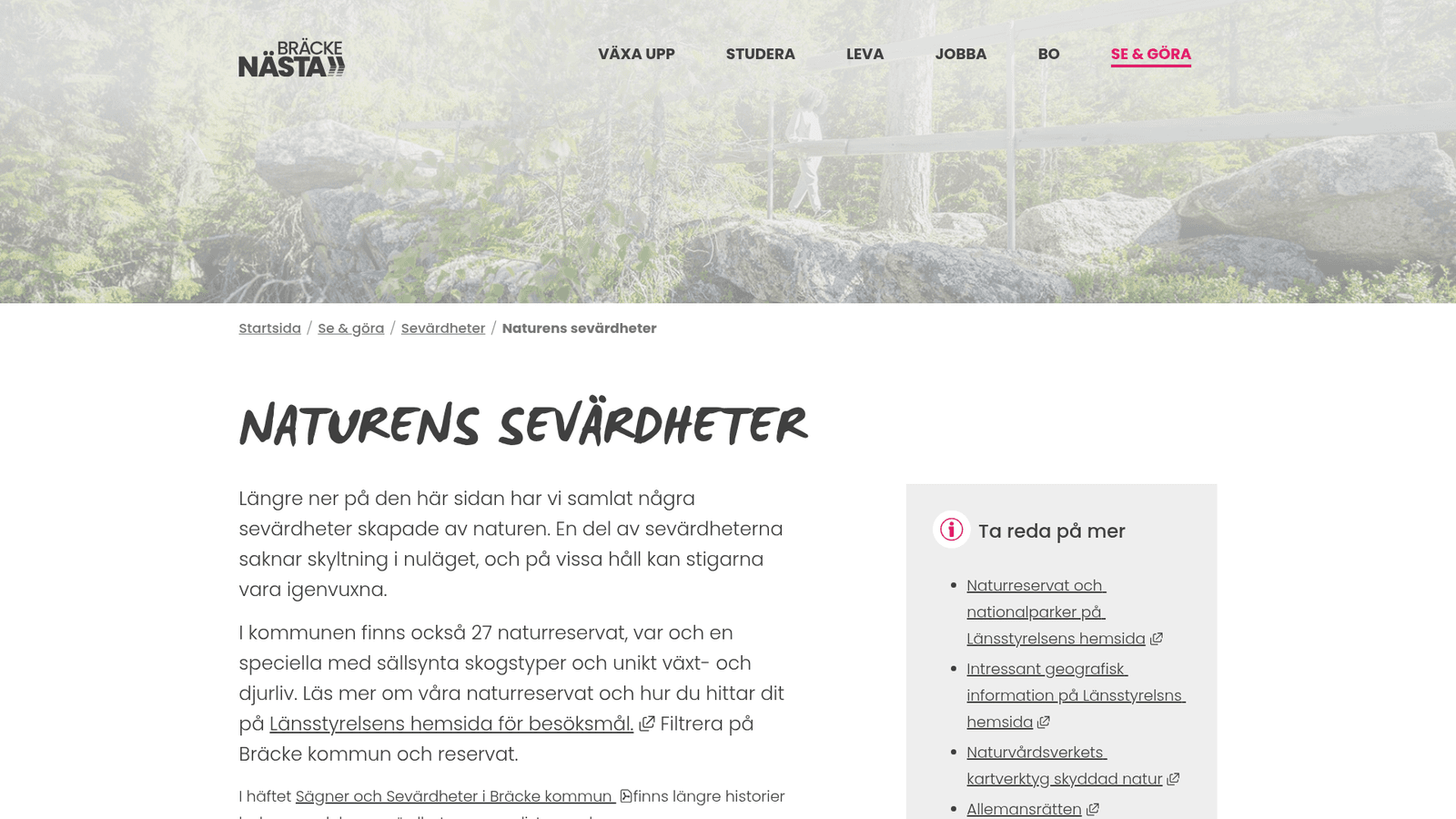 Hästbo: En Vinterdröm i Jämtlands Stilla Skogar