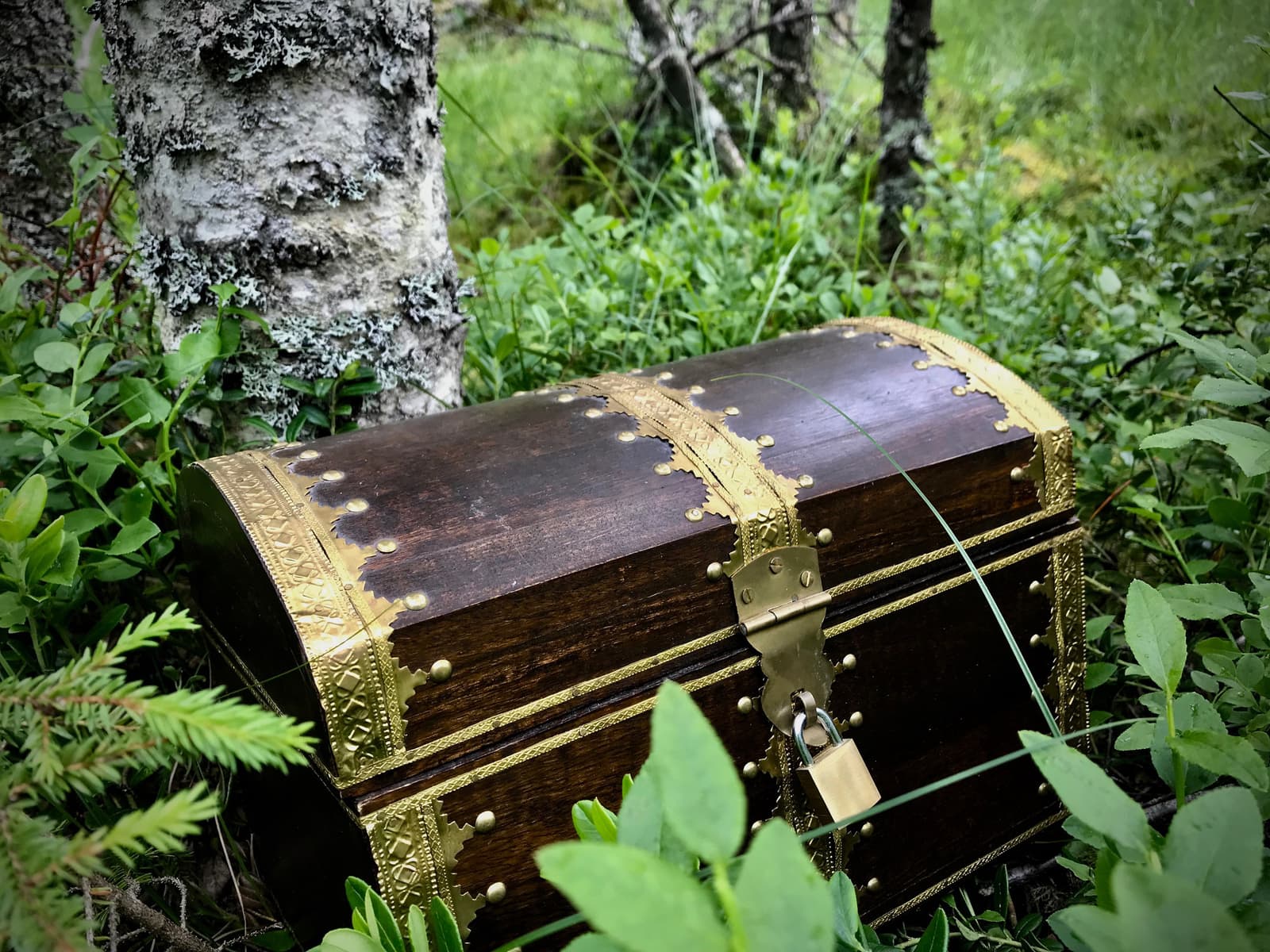 Skogsäventyr i Dalarna: Eld, Guld och Gamla Traditioner