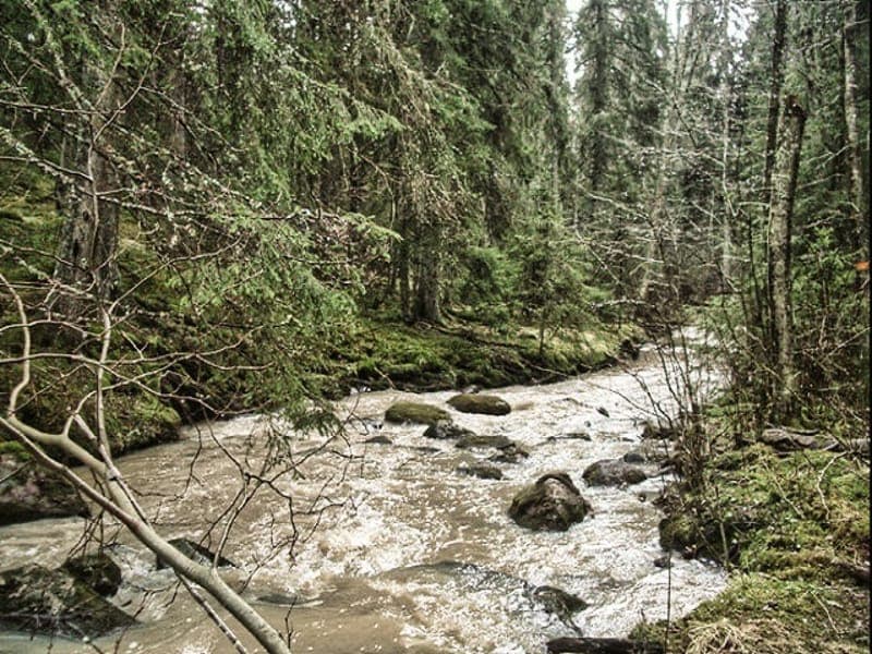 Tyrterrängen: Värmlands Naturstig för Sinnena
