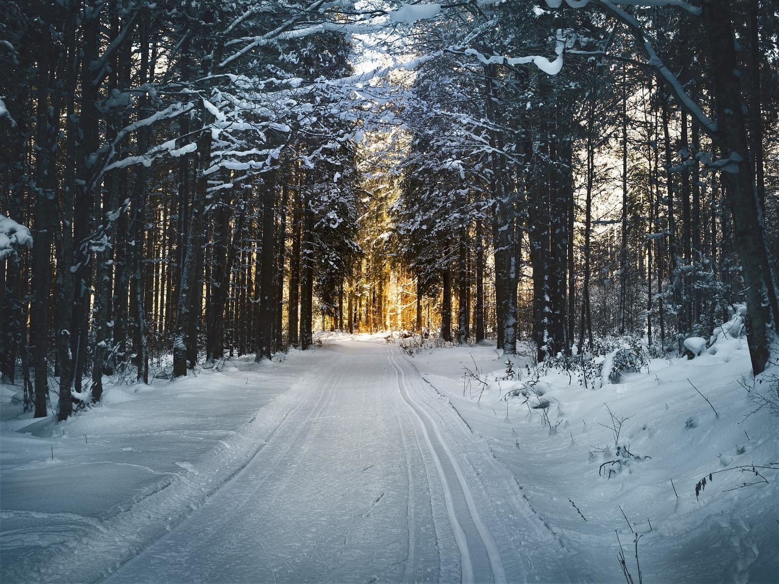 Längdskidäventyr vid Råsjövallen i Bergsjö: Utforska vinterlandskapet