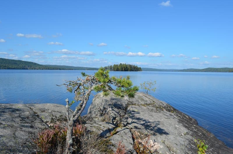 Övre Gla FVOF: En fristad för själen i Glaskogens hjärta