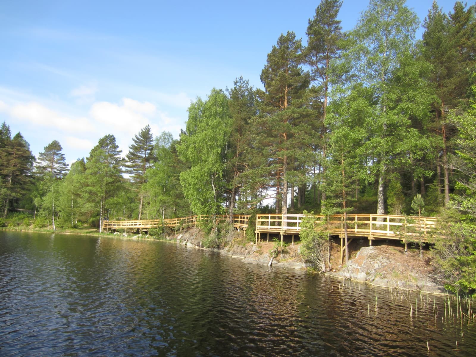 Rånebo Vandringsled: En Sagoaktig Resa Genom Västra Götalands Vildmark