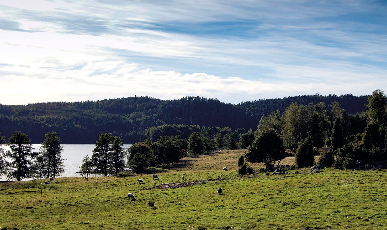 Kölvikens Naturreservat: Dalslands Dolda Pärla