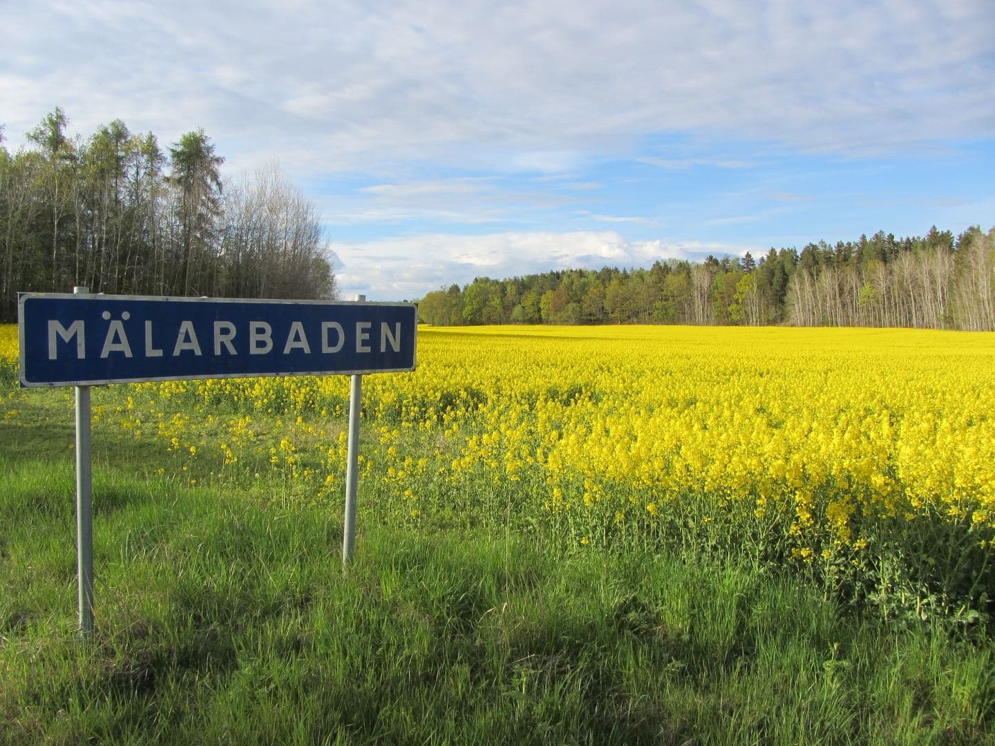 Mälarbaden Camping: Charm vid Mälarens strand