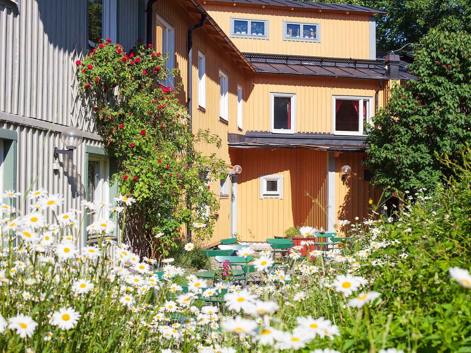 Zinkensdamm: En grön lunga på livfulla Södermalm, Stockholm