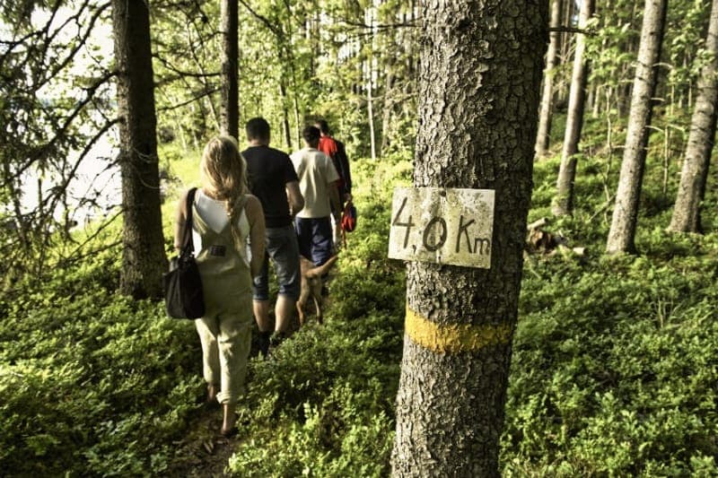 Vandringsleder vid Klarälven – Upptäck Värmlands natur
