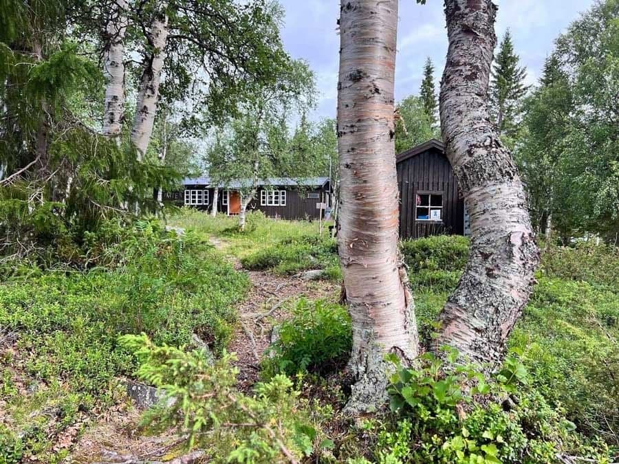 Pårte Fjällstuga – Naturnära upplevelser vid sjön i Norrbottens vildmark