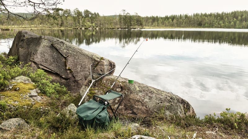 Södra Finnskoga: Ett stilla gränsland att utforska