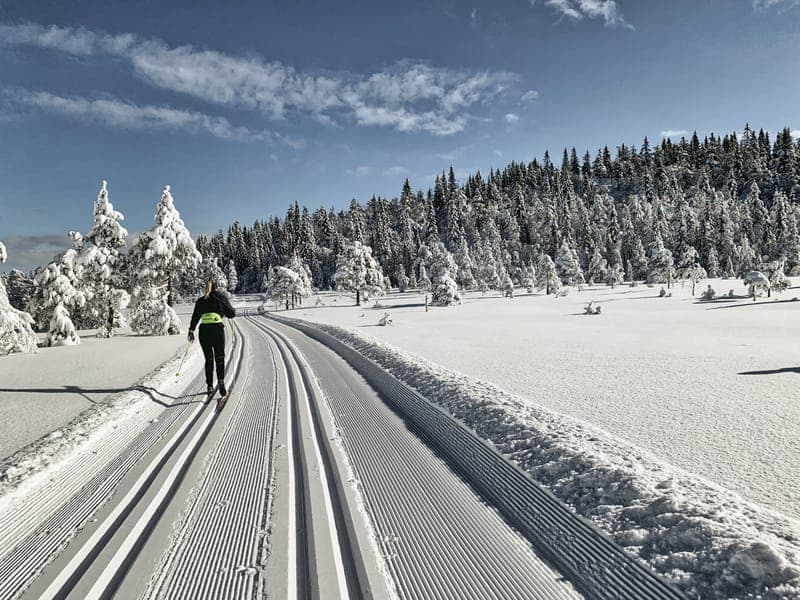 Mattila: Finnskogens historia vid gränsen