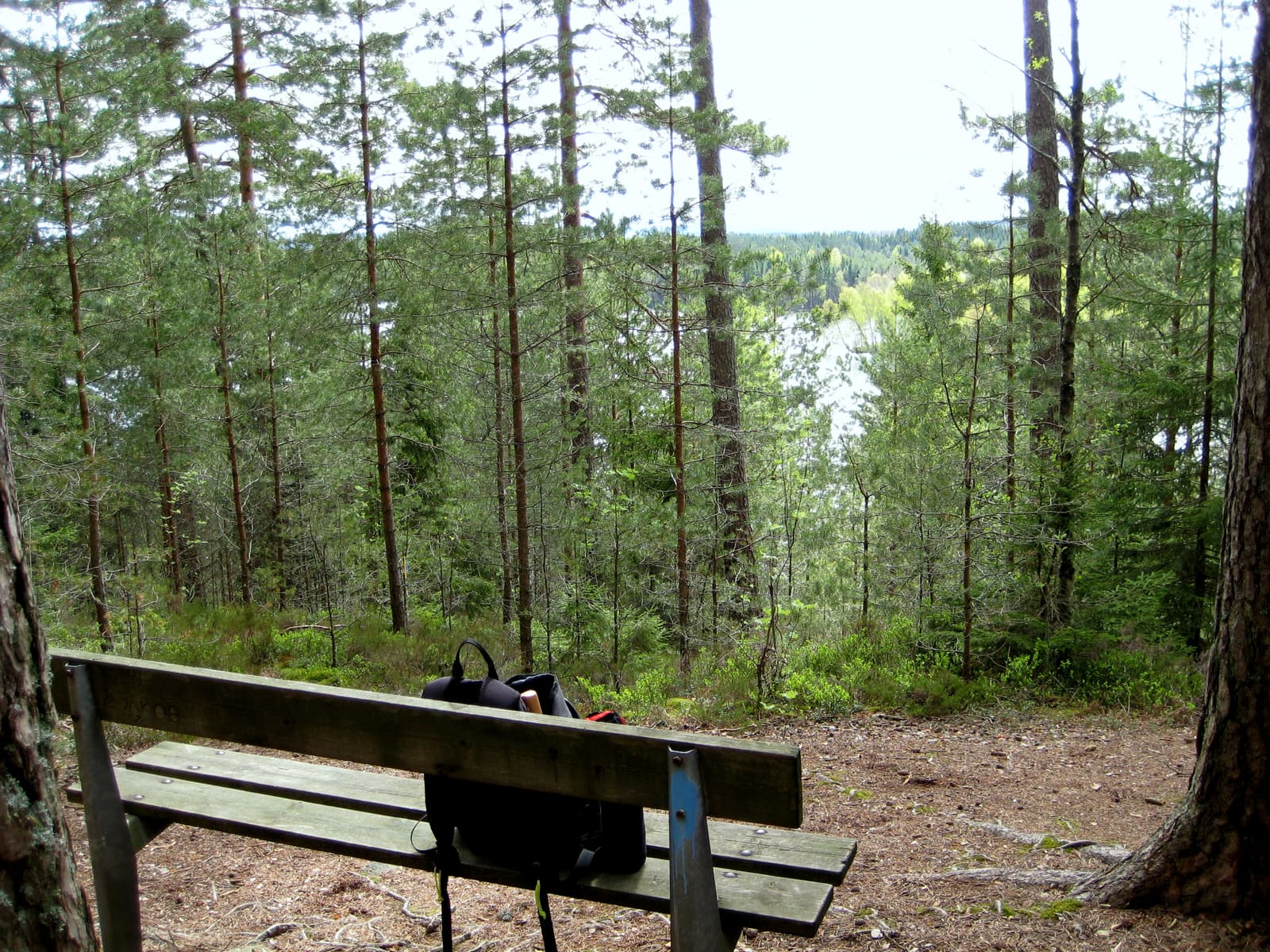 Stora Sågtjärn: En juvel för fiskare och badgäster