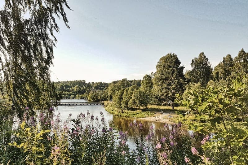 Ställplats Hästskoholmen: Kvällsfid vid cykelvägen
