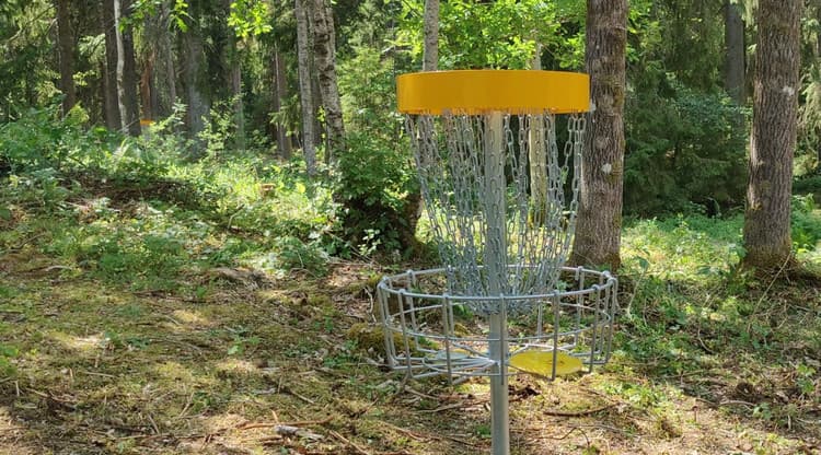 Discgolf i Slätthult: En Symfoni av Natur och Precisionsspel