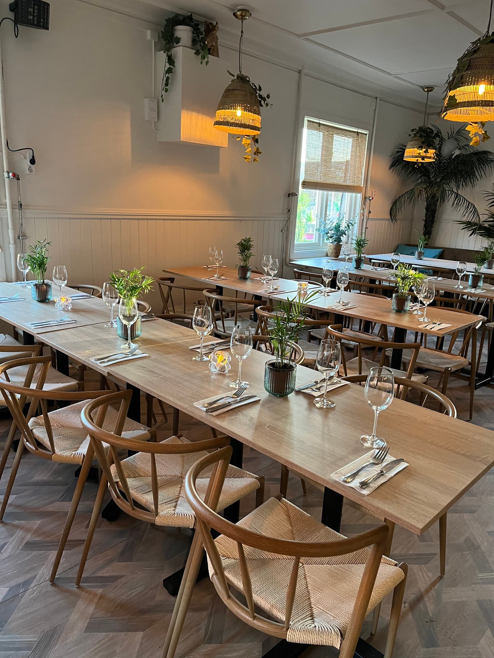 Werners Bistro: En Avslappnad Oas vid Heden