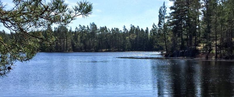 Örsjöarnas FVOF: En Värmländsk Naturpärla