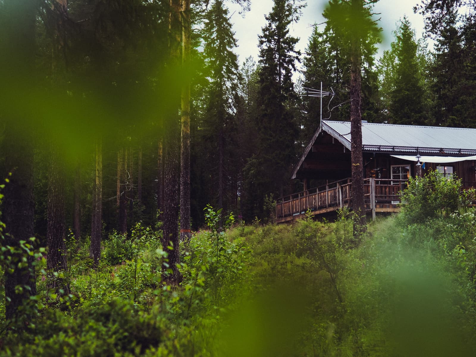 White Mountain Lodge: Stugor med vildmarkskänsla vid sjö i Västerbotten