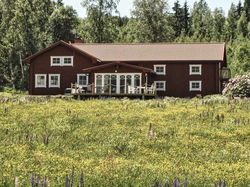 Rottnens Naturnära Tillflykt: Ladda batterierna i Värmlands gröna sköte