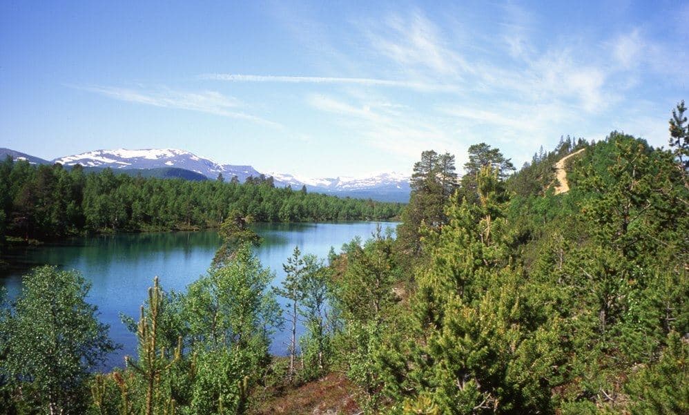 Vålågården: Naturupplevelser vid Vålån i fjällvärlden
