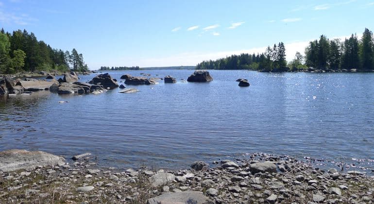 Axmar Naturreservat: Där Skog Möter Hav i En Symfoni av Natur