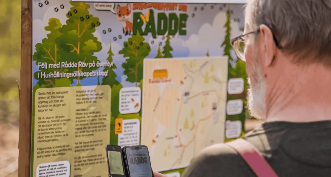 Skogsäventyret: Digitala Upptäckter i Naturens Ramar