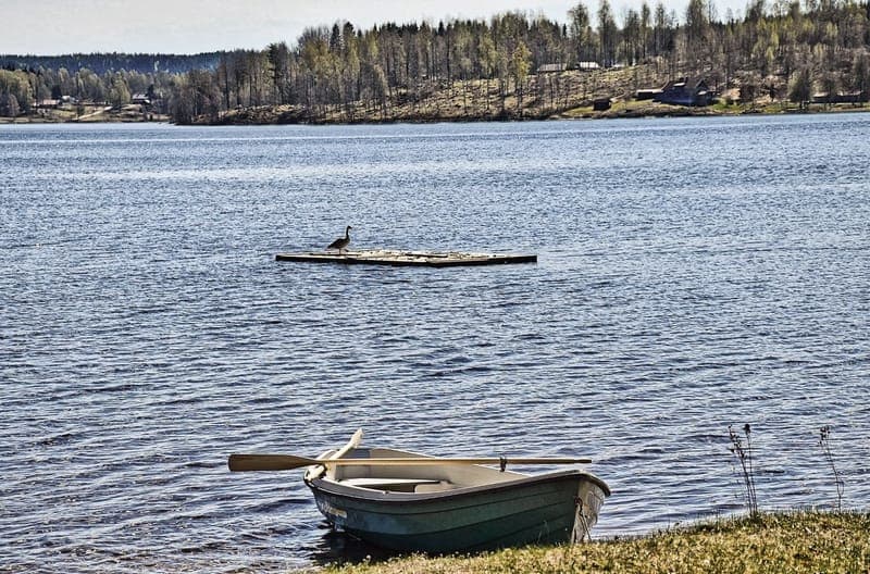 Avkopplande husbilsplatser vid Mangskogs Folkets Hus – Lugn i Värmlands natur