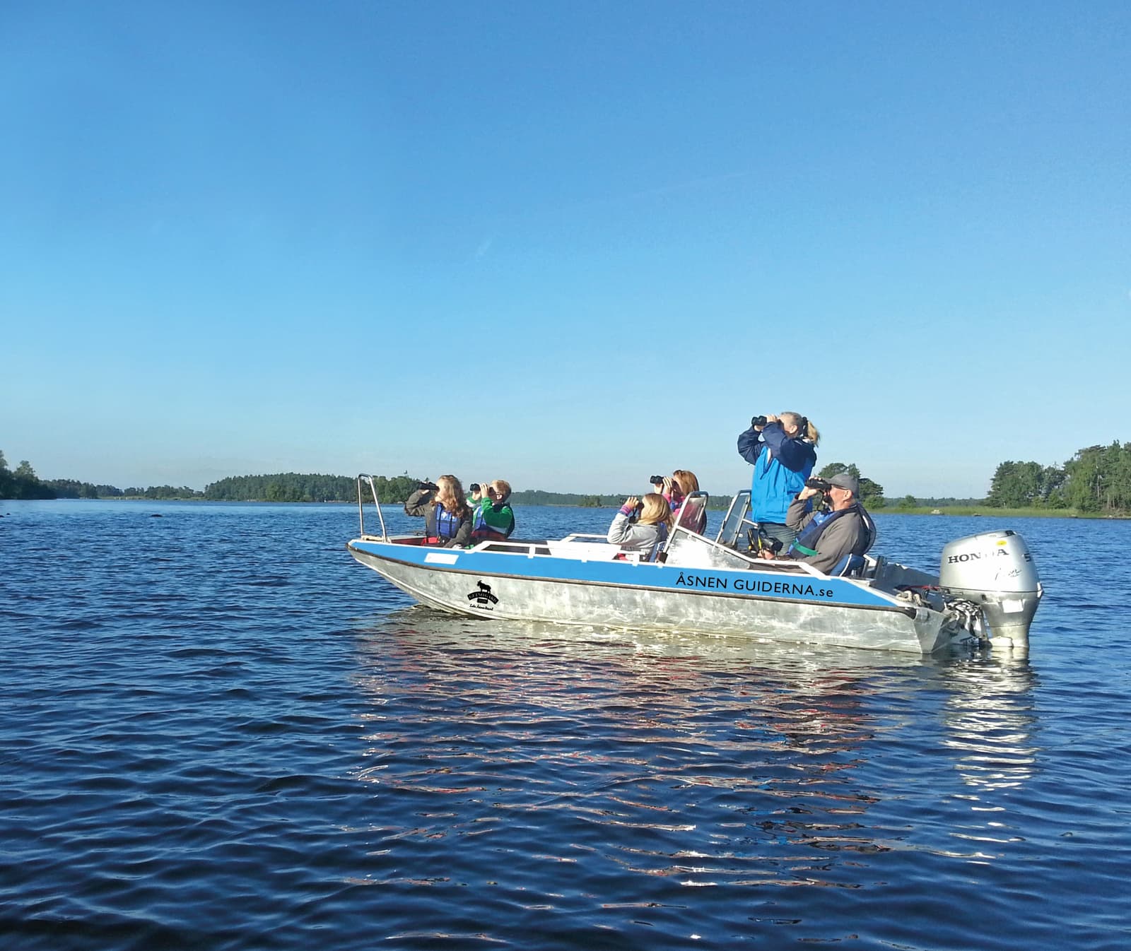 Fiskgjusesafari i Åsnens Vattenrike: Upplev fågellivet från vattnet