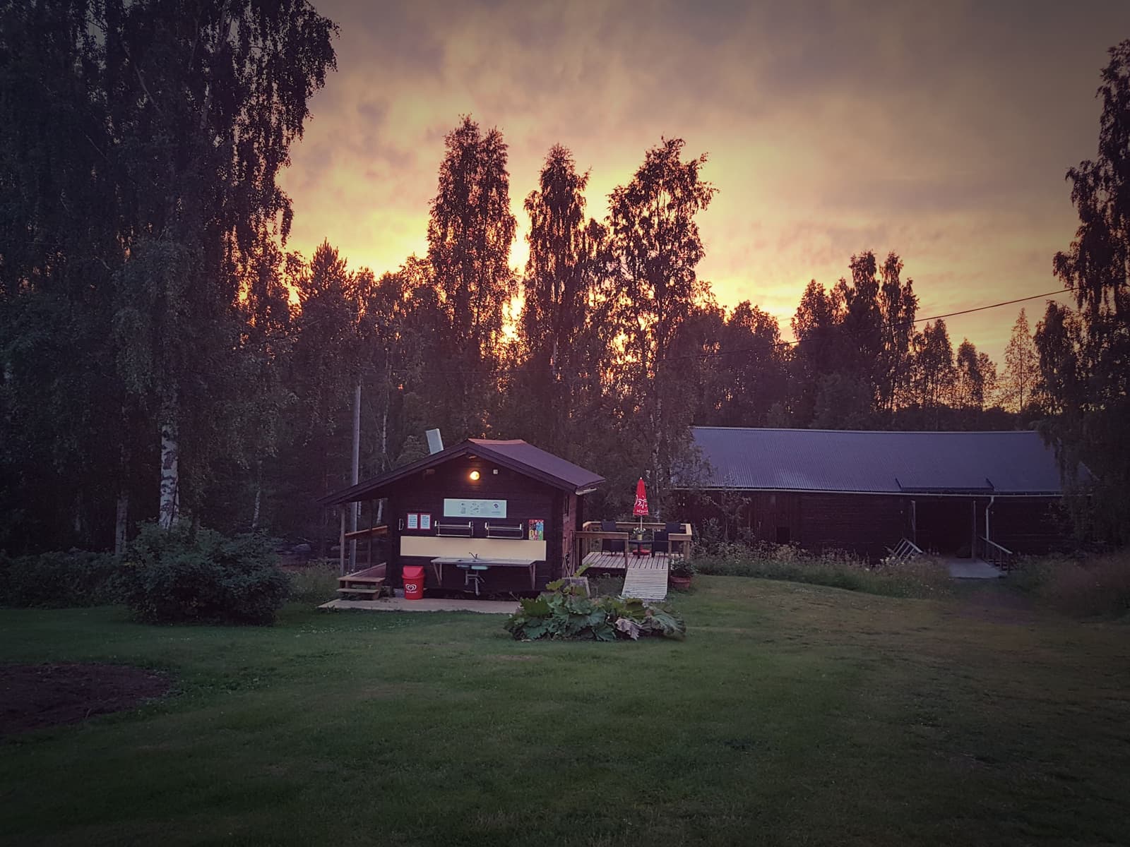 Wildlife Sweden Camp Ängra: Ett Vildmarksäventyr i Hälsingland att Minnas