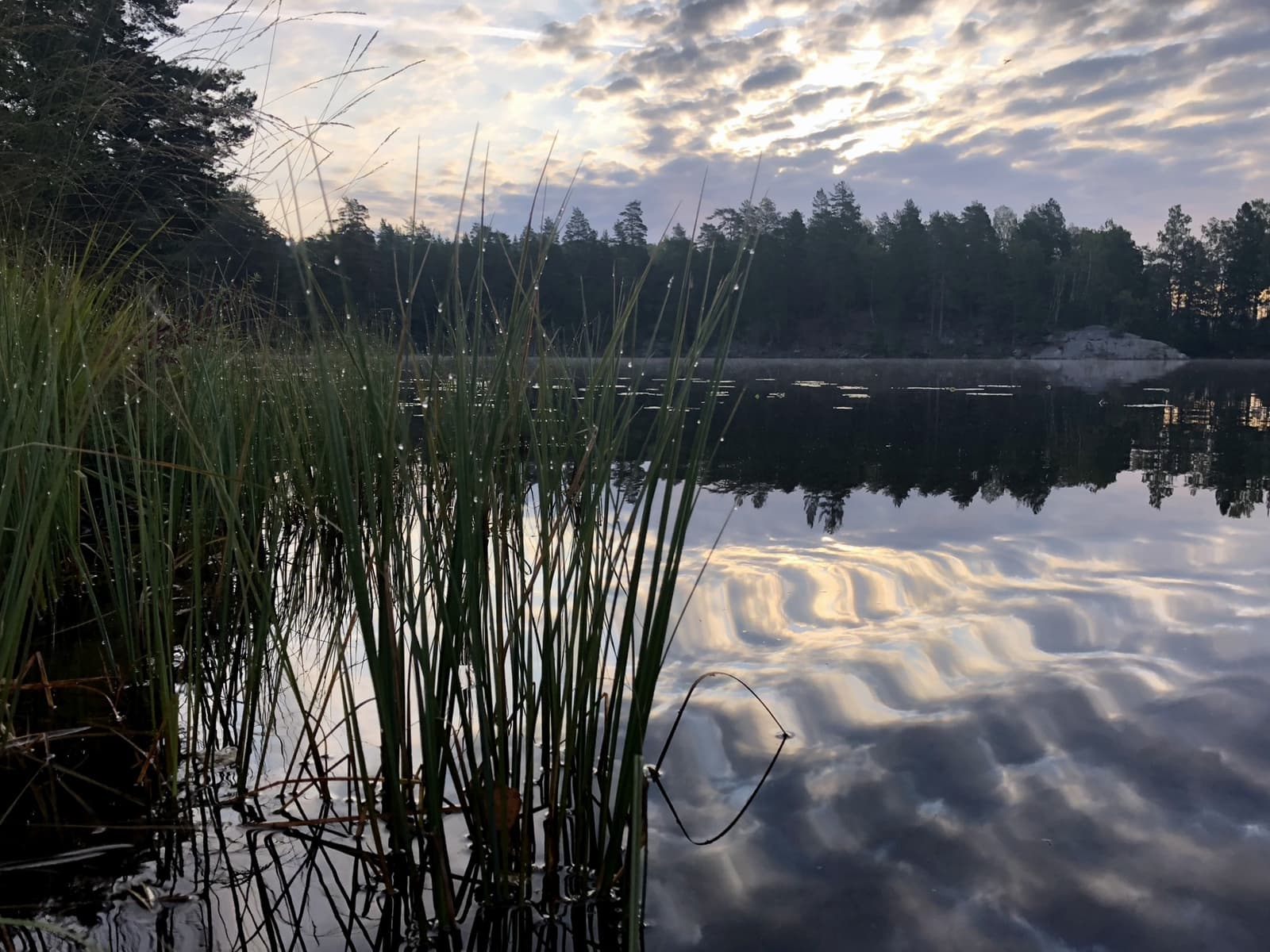 Södra Kornsjön: En Stillhetens Vik vid Gränsen