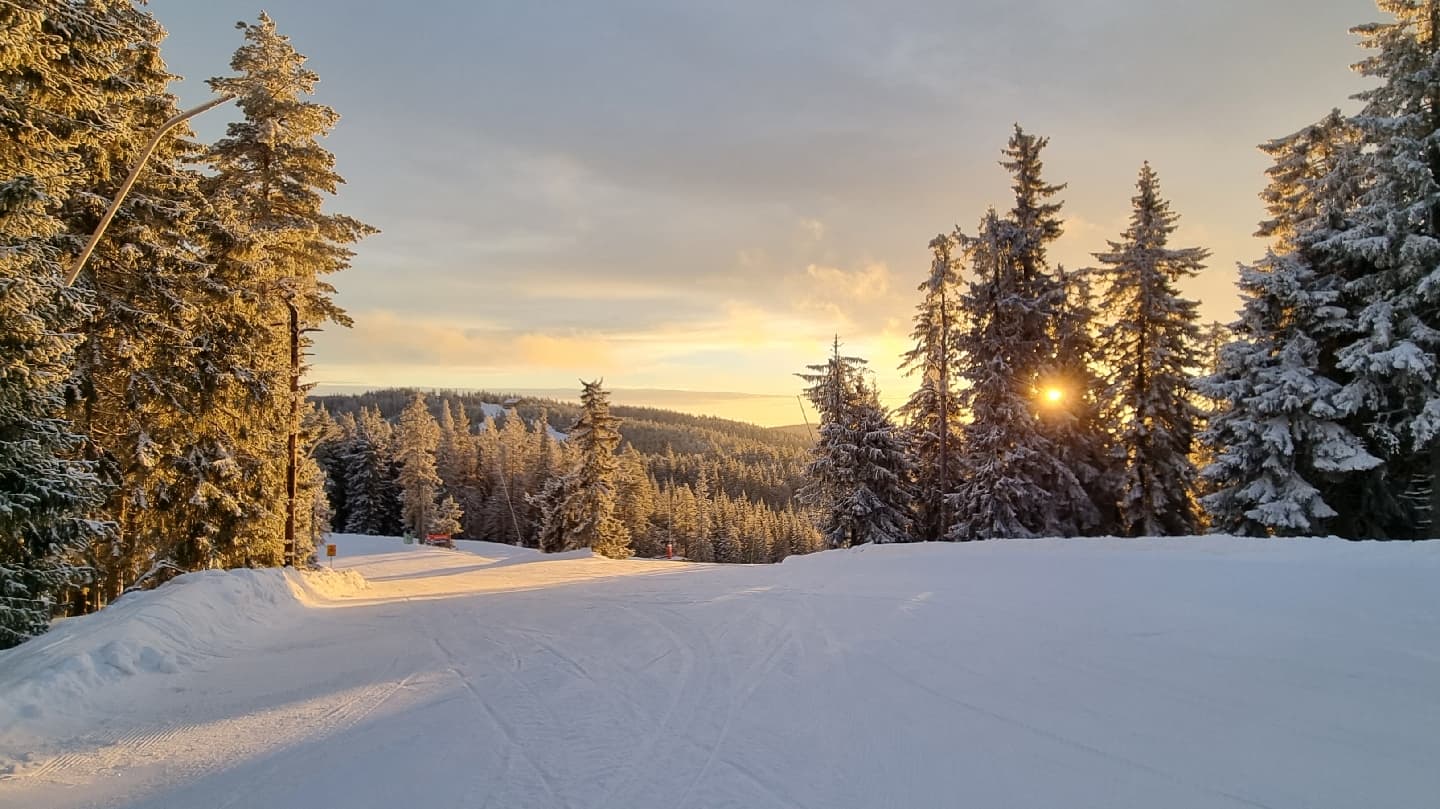 Romme Alpin Ski Lodge: Ski-in/Ski-out i hjärtat av Dalarnas fjällvärld