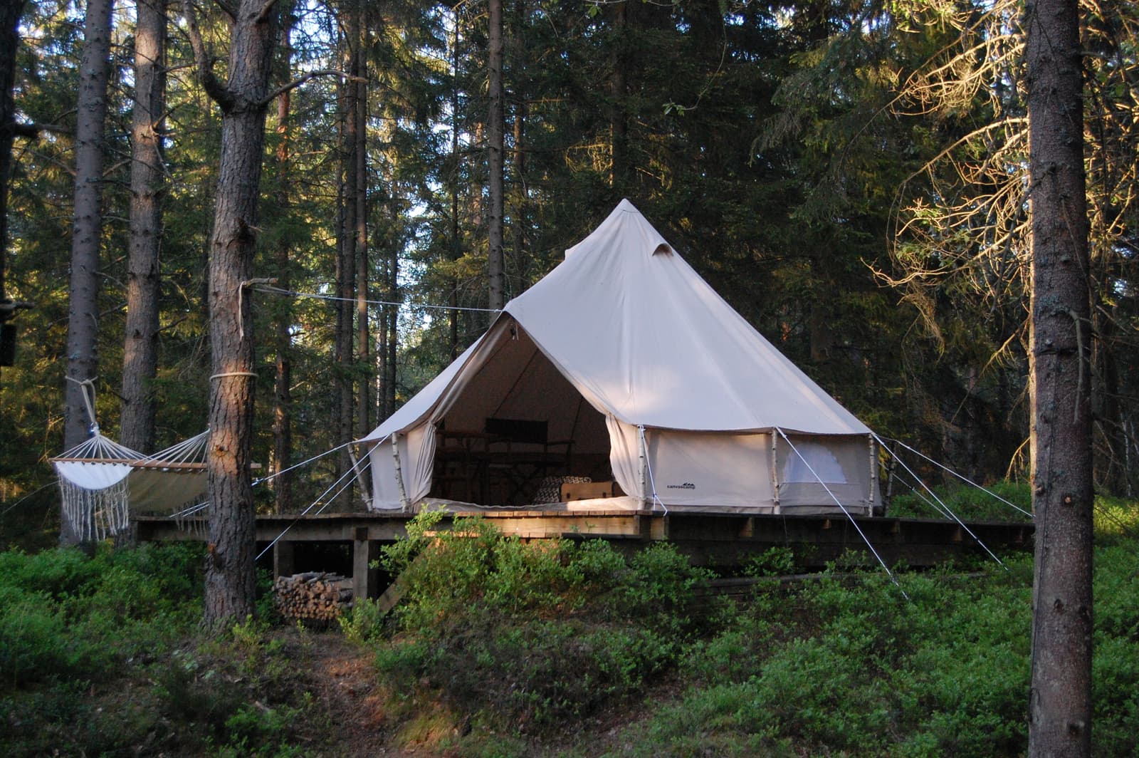 Vide Natur: Utforska Lerums naturskatter med guide