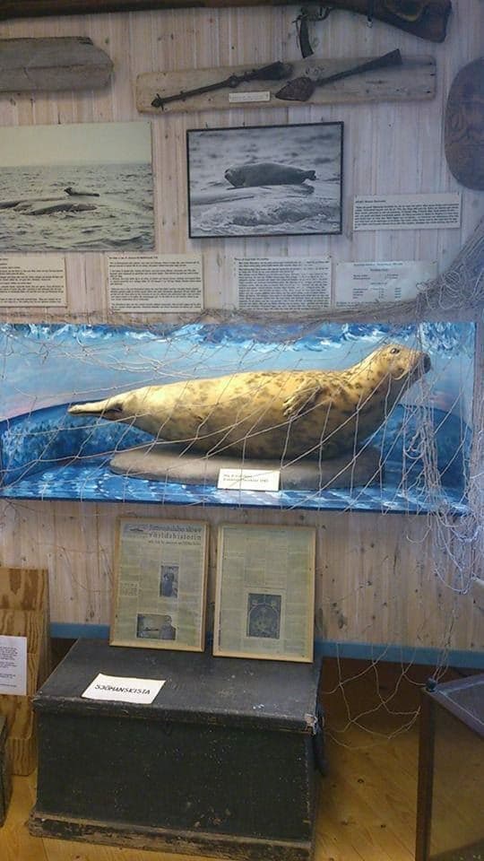 Nordanstigs Kustmuseum: Här möts historia och hav