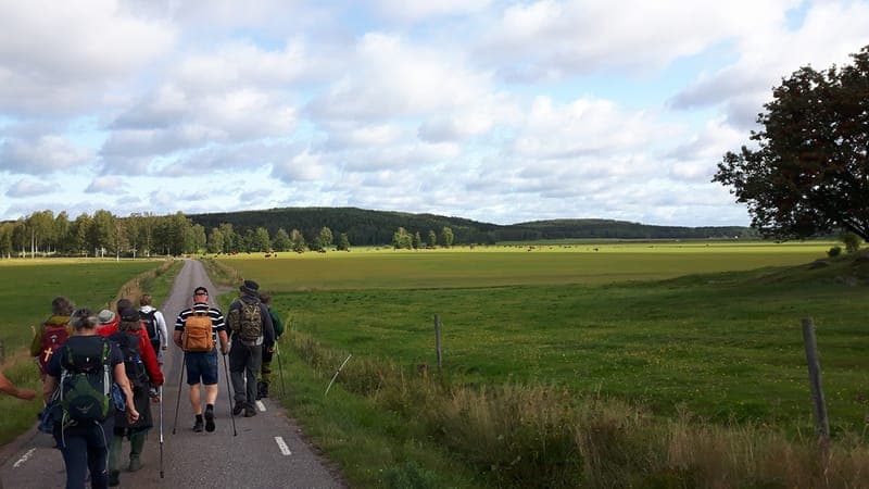 Pilgrimsleden i Västra Värmland – En Resa genom Tid och Rum