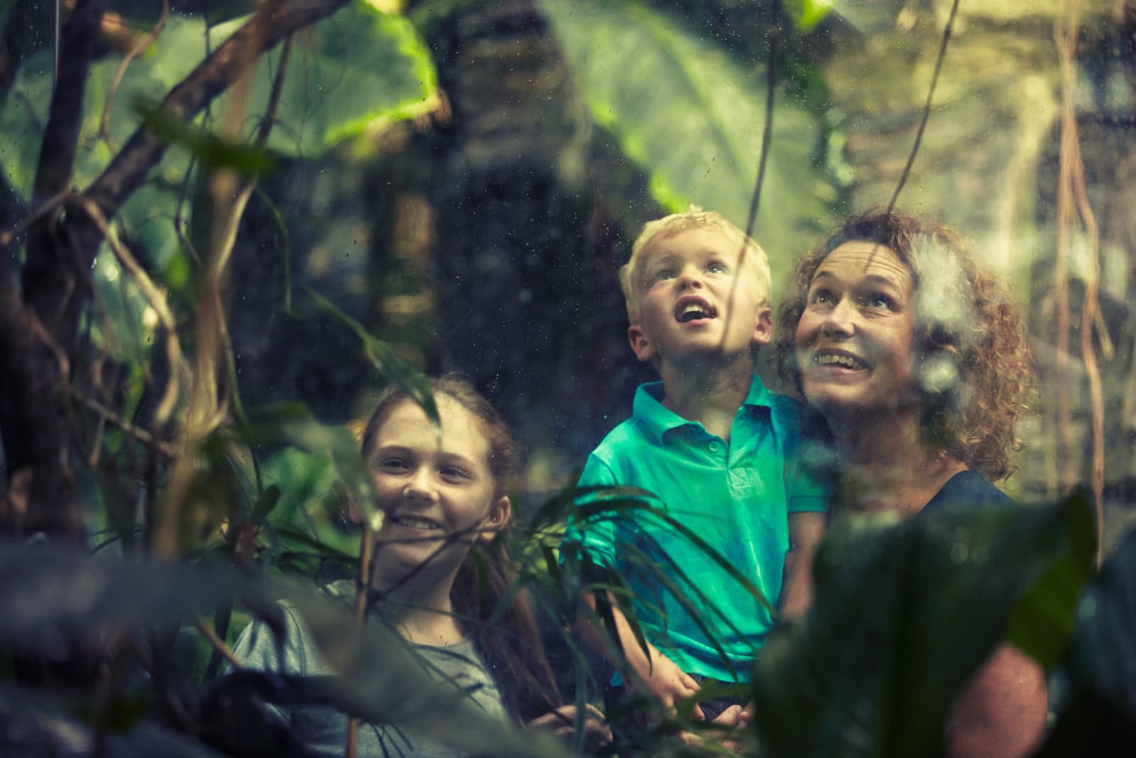 Universeum: En Resa Genom Vetenskap och Natur i Göteborg