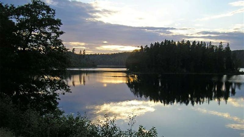 Naturstig i Svanskog: En fristad i Värmlands gröna famn