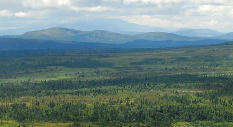 Storvätteshågna: Upptäck Dalarnas Tak